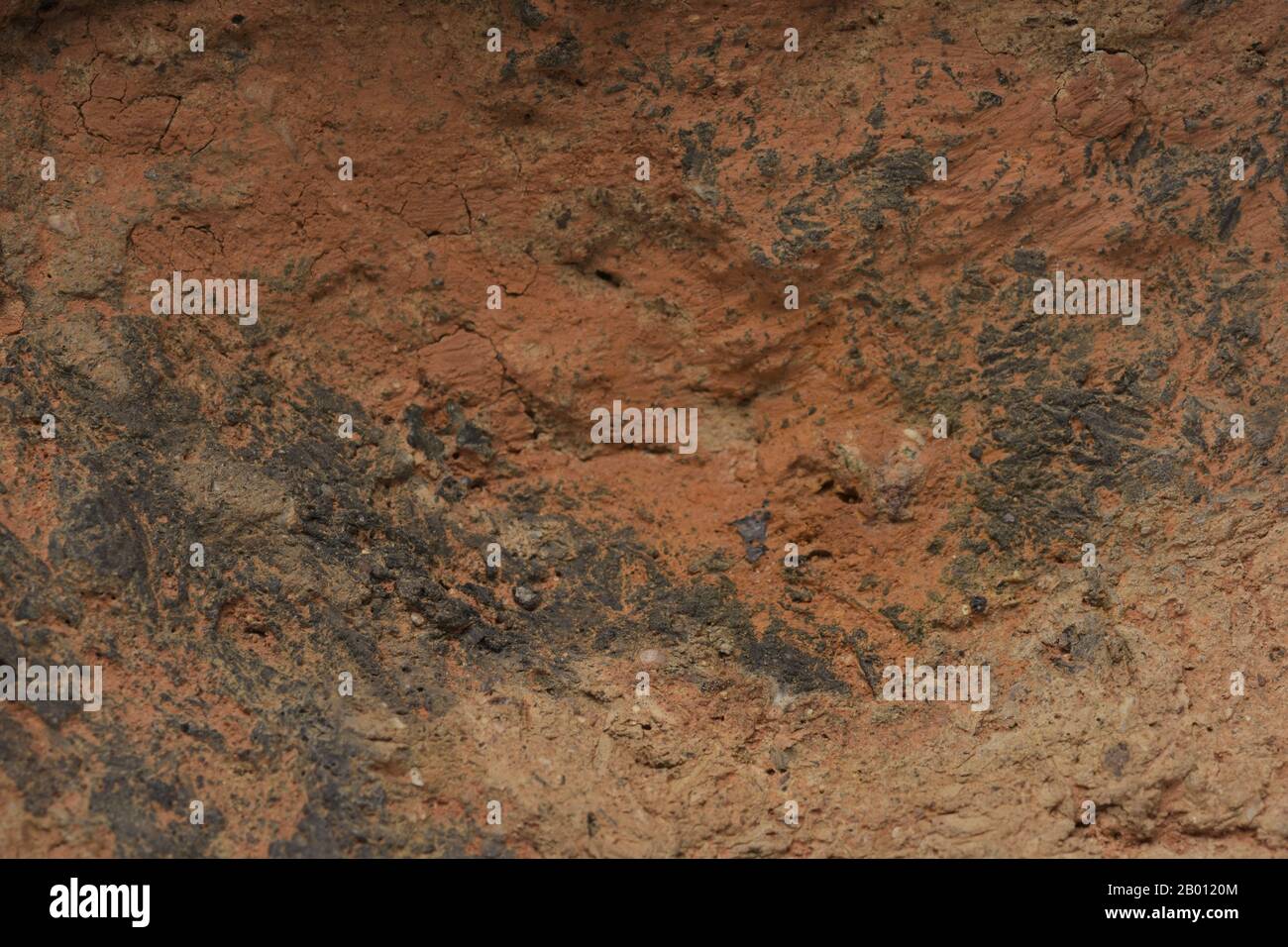 close up Wall Abstract Textures Backgrounds Stock Photo