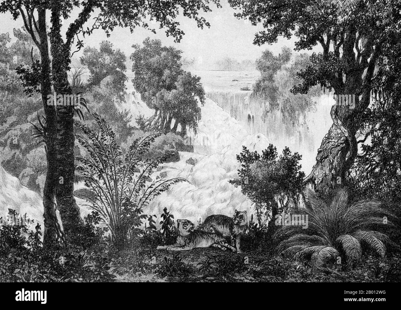 Laos: Tigers laze by the banks of the Mekong River at Don Isom waterfall near Khong Island (Don Khong). Engraving by Louis Delaporte (1842-1925), 1867.  This drawing by Louis Delaporte is one of dozens he produced during his two-year venture (1866-68) with the Mekong Exploration Commission sponsored by the French Ministry of the Navy, the intention of which was to lay the groundwork for the expansion of French colonies in Indochina. Traveling the Mekong by boat, the small French delegation voyaged from Saigon to Phnom Penh to Luang Prabang, then farther north into Upper Laos and Yunnan. Stock Photo