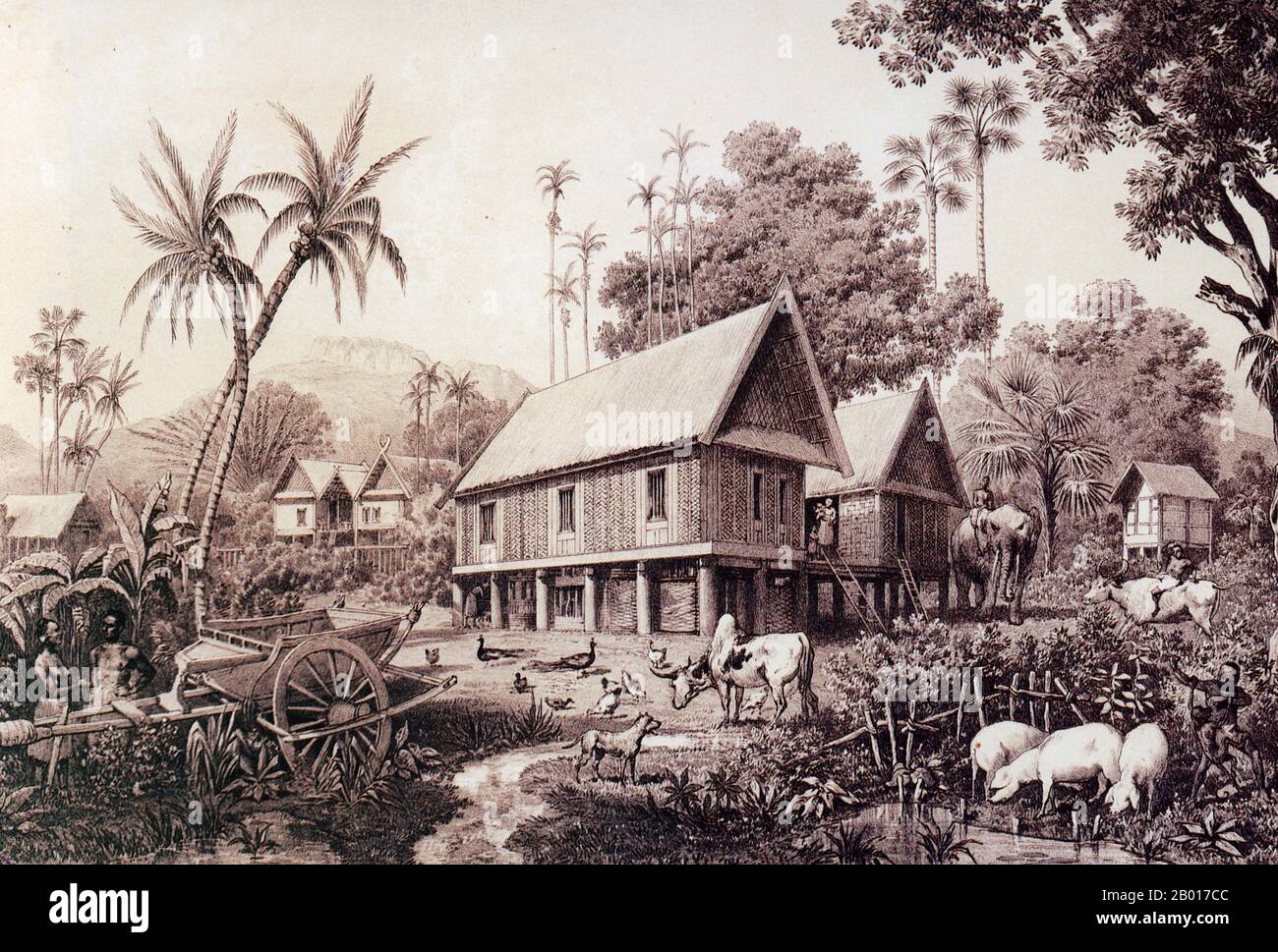 Laos: 'The House of a Wealthy Laotian Family'. Engraving by Louis Delaporte (1842-1925), c. 1866-1867.  The house is made of rattan and bamboo. It is supported by hardwood stilts to protect the building in Monsoon season. Under the house is a chicken run and pig sty. Peacocks roam in the garden, and the hamlet is surrounded by coconut palms. Stock Photo