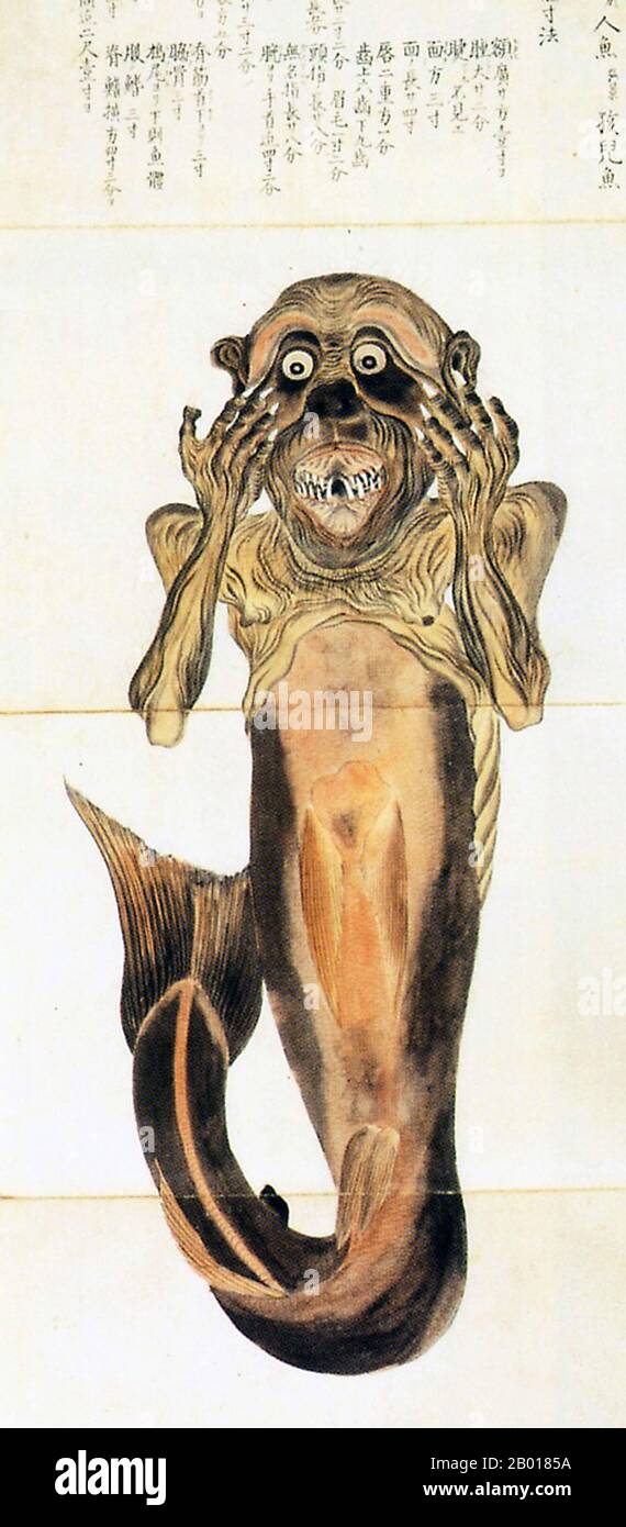 Japan: A 'ningyo' or mermaid as represented by Baien Mouri (1798-1851) in his 'Baien Book of Fish'. 1835.  In Japan mermaids are called ningyo or 'fish people'. An old Japanese belief was that eating the flesh of a ningyo could grant immortality.  Noted natural historian Baien Mouri (1798-1851), a prolific illustrator known for his colorful depictions of plants and animals, included two sketches of a mermaid in his 1835 book Baien Gyofu ('Baien Book of Fish'). Stock Photo