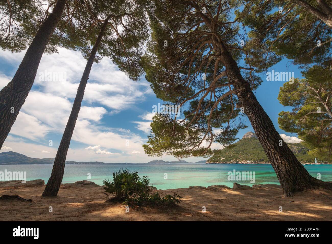 Platja de Formentor beach on the balearic island of Majorca (Mallorca), Spain Stock Photo