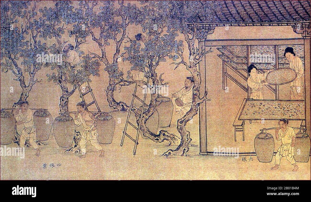 China: The Art of Making Silk (1) - Picking and sorting mulberry leaves. Detail from a Song Dynasty (960-1279) handscroll painting, 11th century.  In China, silk worm farming was originally restricted to women, and many women were employed in the silk-making industry. Even though some saw this development of a luxury product as useless, silk provoked such a craze among high society that the laws were used to regulate and limit its use to the members of the imperial family. For approximately a millennium, the right to wear silk was reserved for the emperor and the highest dignitaries. Stock Photo