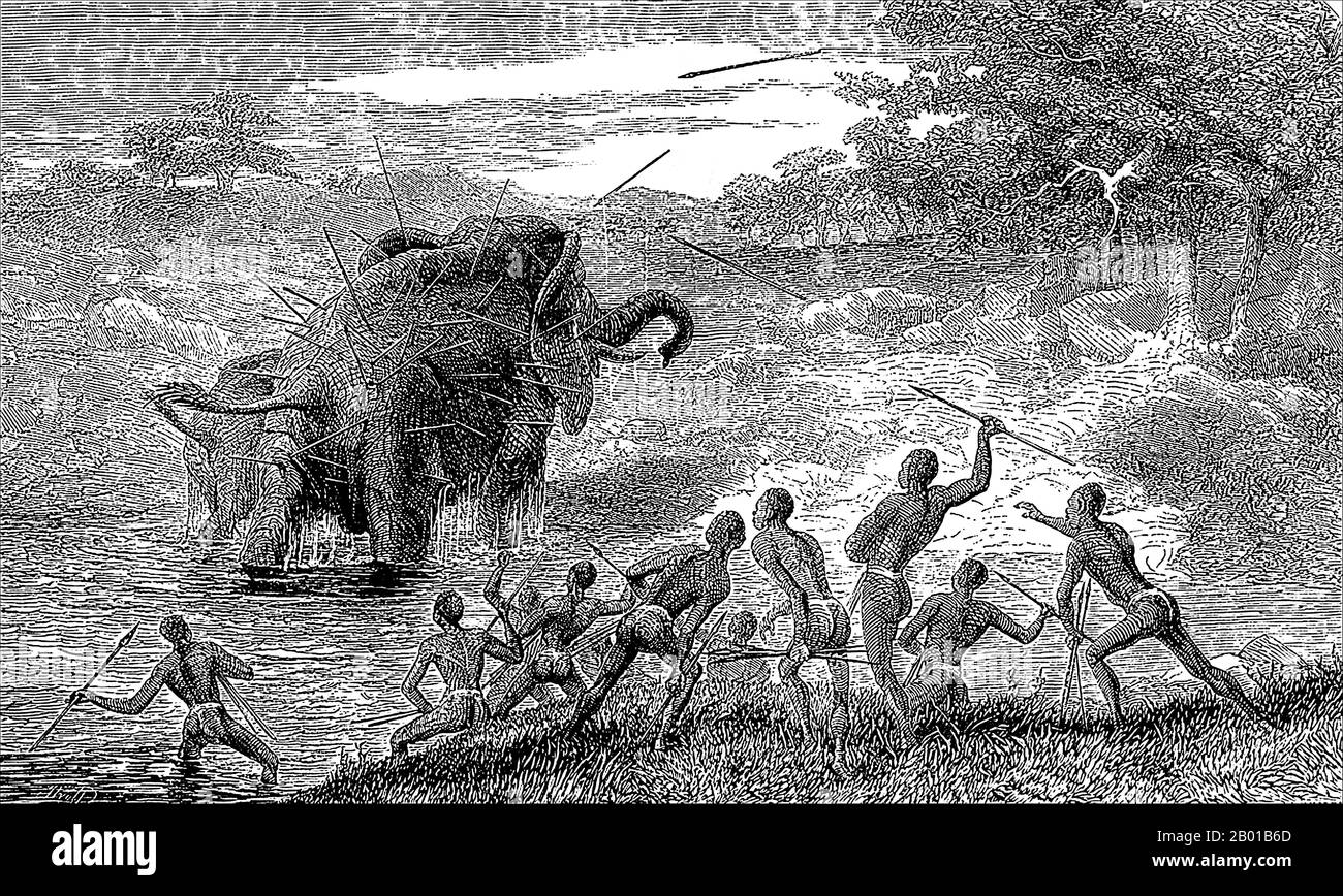 Central Africa: 'Female Elephant Pursued with Javelins, Protecting Her Young'. Illustration by David Livingstone (19 March 1913 - 1 May 1873), 1857.  Elephant ivory has been exported from Africa and Asia for centuries with records going back to the 14th century BCE. Throughout the colonisation of Africa ivory was removed, often using slaves to carry the tusks, to be used for piano keys, billiard balls and other expressions of exotic wealth.  Ivory hunters were responsible for wiping out elephants in North Africa perhaps about 1,000 years ago and in much of South Africa in the 19th century. Stock Photo