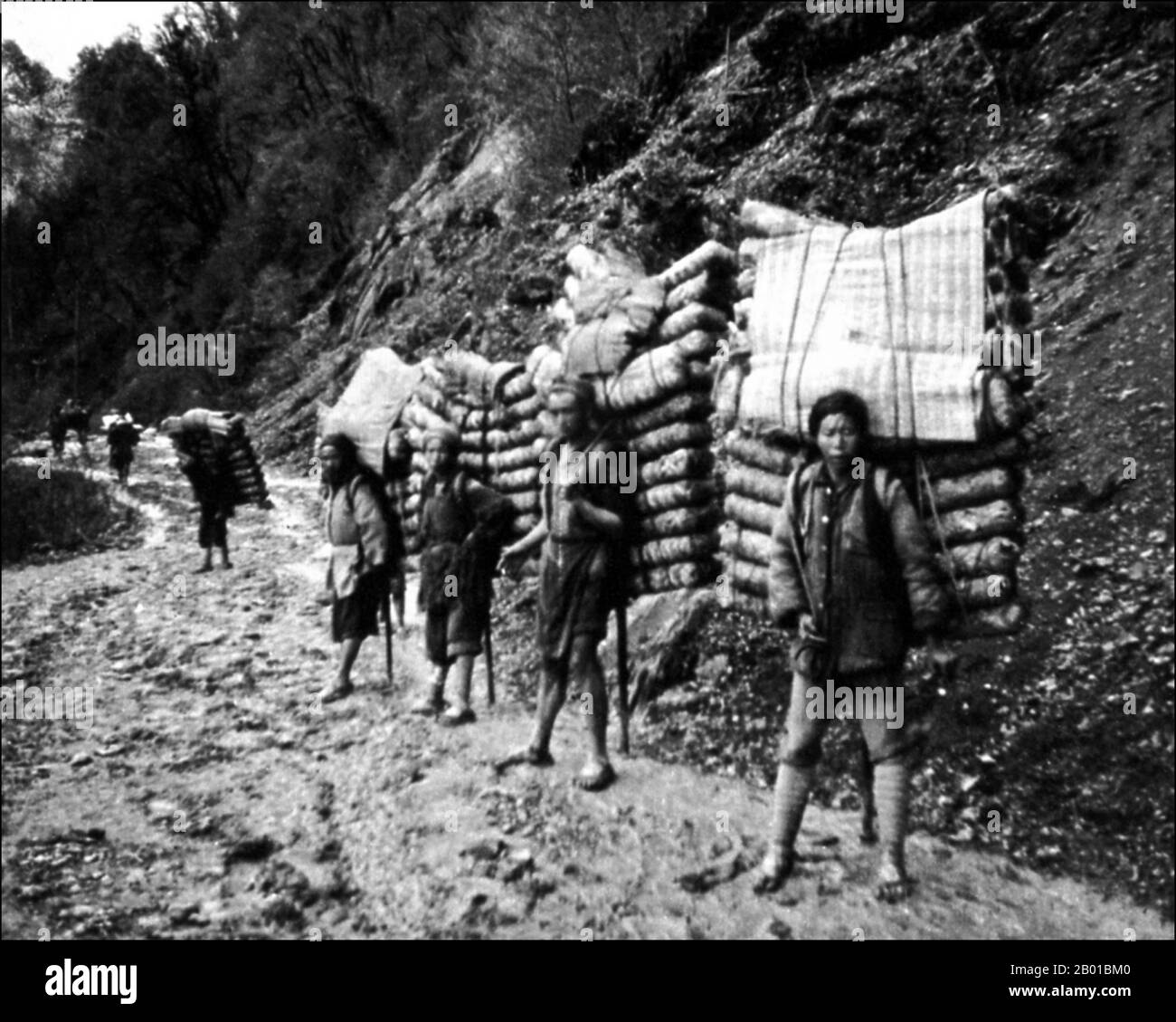 China: Tea Porters on Tea Horse Road, Western Sichuan. Photo by Ernest Henry Wilson (15 February 1876 - 15 October 1930), c. 1908.  The Tea Horse Road (Cha Ma Dao) was a network of mule caravan paths winding through the mountains of Yunnan, Sichuan and Tibet in Southwest China. It is also sometimes referred to as the Southern Silk Road and Ancient Tea Horse Road. From around a thousand years ago, the Ancient Tea Route was a trade link from Yunnan, one of the first tea-producing regions, to India via Burma, to Tibet, and to central China via Sichuan Province. Stock Photo