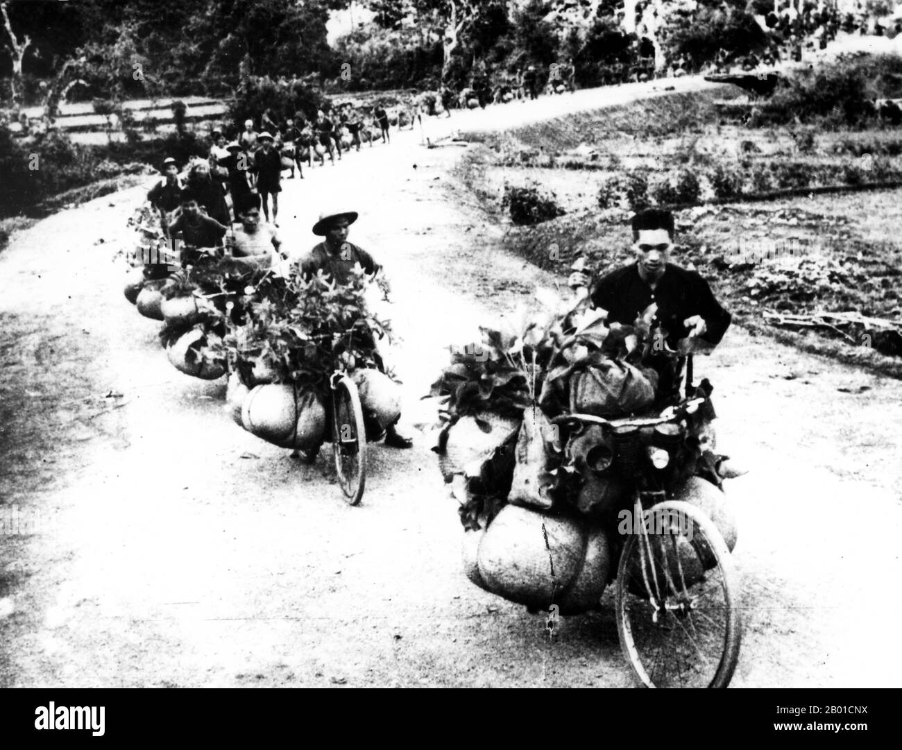 Vietnam: Viet Minh porters use bicycles to resupply troops with rice in the fight against the French at Dien Bien Phu, 1954.  The important Battle of Dien Bien Phu was fought between the Việt Minh (led by General Vo Nguyen Giap), and the French Union (led by General Henri Navarre, successor to General Raoul Salan). The siege of the French garrison lasted fifty-seven days, from 5:30PM on March 13 to 5:30PM on May 7, 1954.  The southern outpost or fire base of the camp, Isabelle, did not follow the cease-fire order and fought until the next day at 01:00 AM. Stock Photo