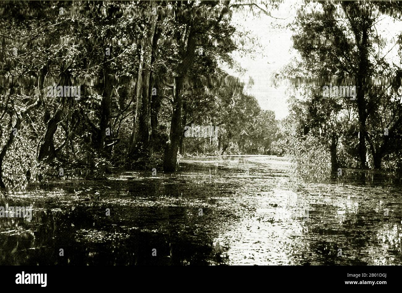 Burma: A lowland forest during monsoon season, c. 1892-1896.  The British conquest of Burma began in 1824 in response to a Burmese attempt to invade India. By 1886, and after two further wars, Britain had incorporated the entire country into the British Raj. To stimulate trade and facilitate changes, the British brought in Indians and Chinese, who quickly displaced the Burmese in urban areas. To this day Rangoon and Mandalay have large ethnic Indian populations. Railways and schools were built, as well as a large number of prisons, including the infamous Insein Prison. Stock Photo