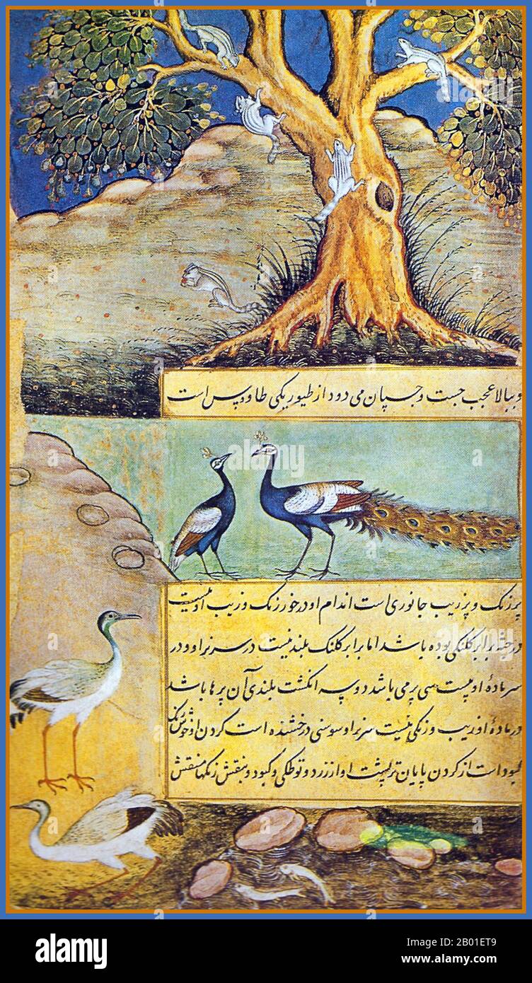 India: Animals of Hindustan - peafowl, cranes and squirrels. Miniature painting from the Baburnama, late 16th century.  Bāburnāma (literally: 'Book of Babur' or 'Letters of Babur'; alternatively known as Tuzk-e Babri) is the name given to the memoirs of Ẓahīr ud-Dīn Muḥammad Bābur (1483-1530), founder of the Mughal Empire and a great-great-great-grandson of Timur. It is an autobiographical work, originally written in the Chagatai language, known to Babur as 'Turki' (meaning Turkic), the spoken language of the Andijan-Timurids. Stock Photo