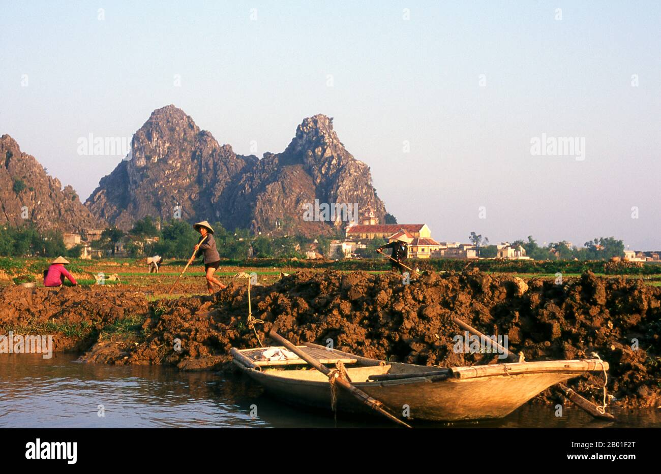 Vietnam: Working rice fields near Kenh Ga, Ninh Binh Province.  At the floating village of Kenh Ga or ‘Chicken Canal’, just about the entire community spend their lives on the water, and the village is accessible only by boat.  Northern Vietnam, the area centred on the Red River Delta with its capital at Hanoi, extends from the Chinese frontier in the north to the Ma River in Thanh Hoa Province to the south. In the west, the Truong Son or ‘Long Mountains’ and the Lao frontier form the border; while to the east lies Vinh Bac Bo, the ‘Northern Gulf’. Stock Photo