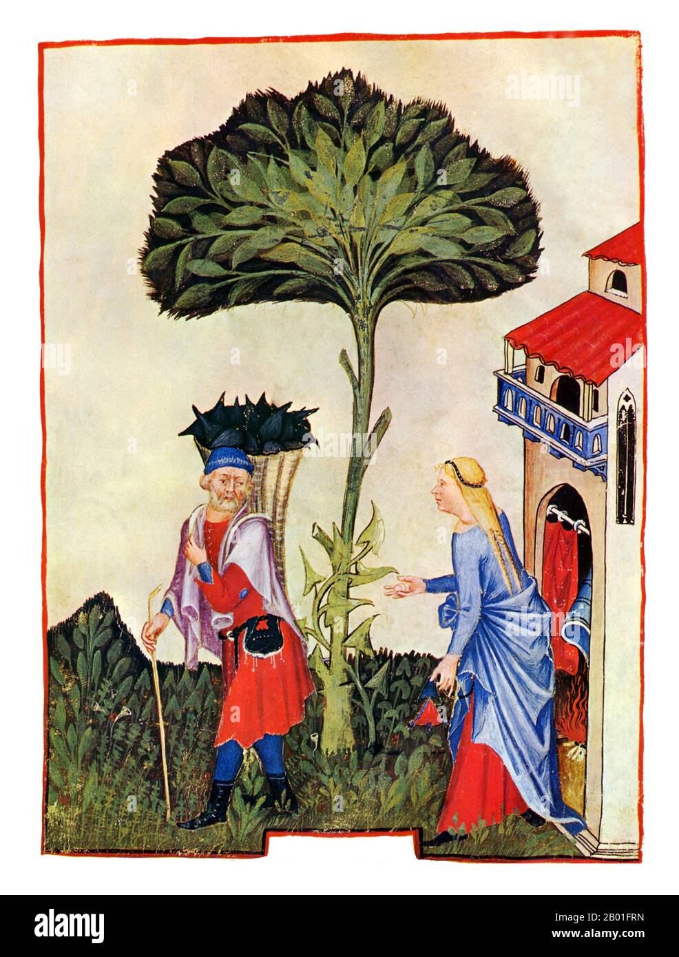 Iraq/Italy: Turnips (Napones). Illustration from Ibn Butlan's Taqwim al-sihha or 'Maintenance of Health' (Baghdad, 11th century), published in Italy as the Tacuinum Sanitatis, 14th century.  The Tacuinum (sometimes Taccuinum) Sanitatis is a medieval handbook on health and well being, based on the Taqwim al‑sihha تقويم الصحة ('Maintenance of Health'), an eleventh-century Arab medical treatise by Ibn Butlan of Baghdad.  Ibn Butlân was a Christian physician born in Baghdad and who died in 1068. Stock Photo