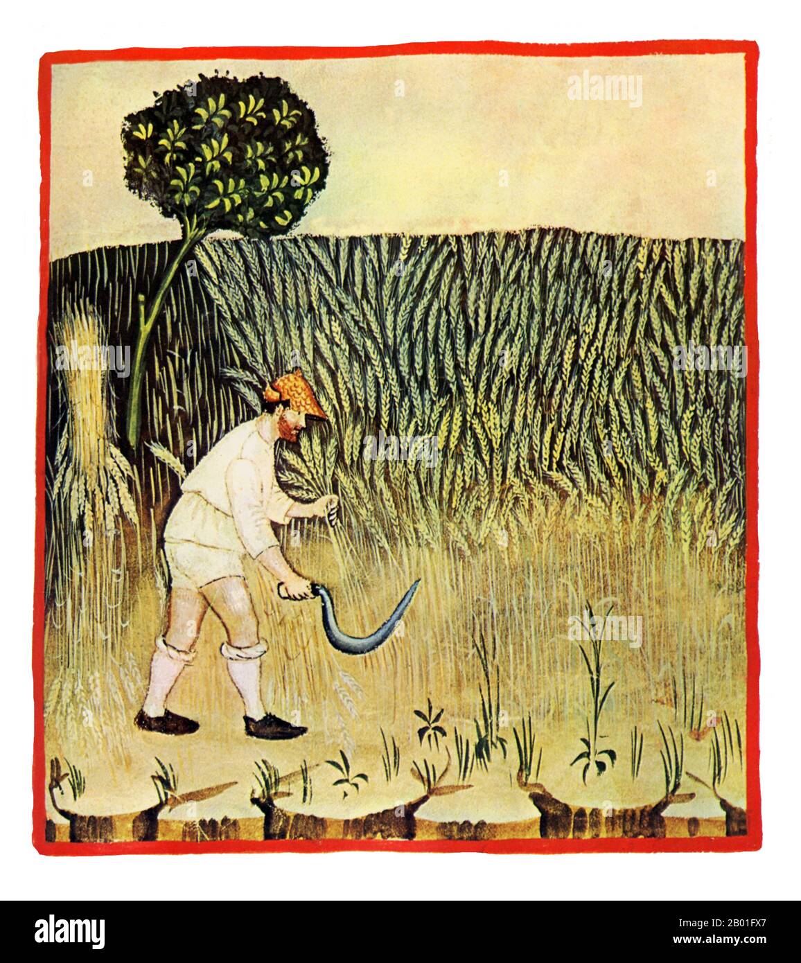 Iraq/Italy Rye (Siligo). Illustration from Ibn Butlan's Taqwim al