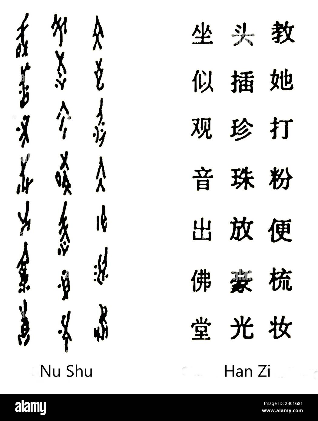The Nüshu script is used to write a local dialect of Chinese known