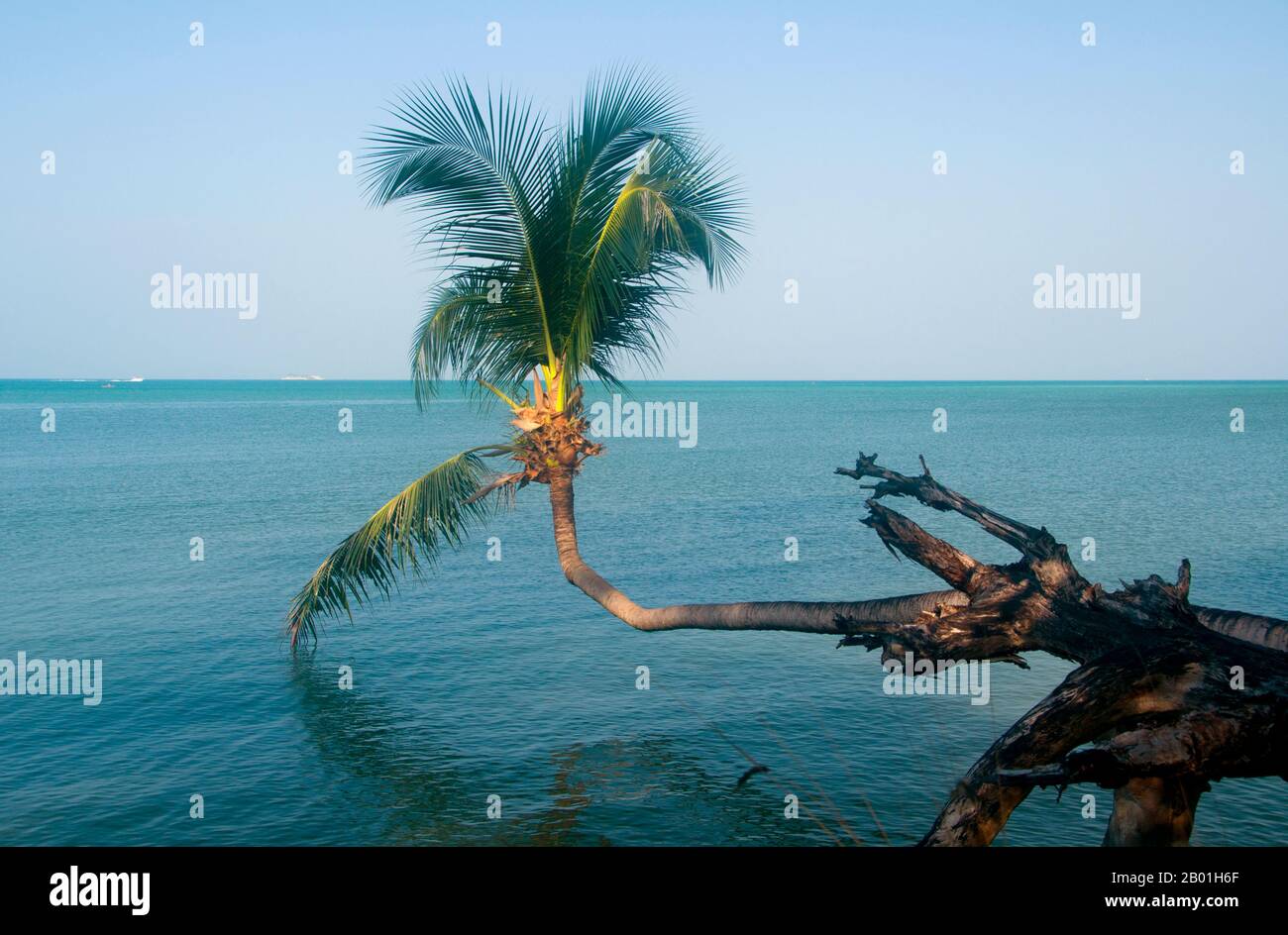 Slowly moving hires stock photography and images Alamy
