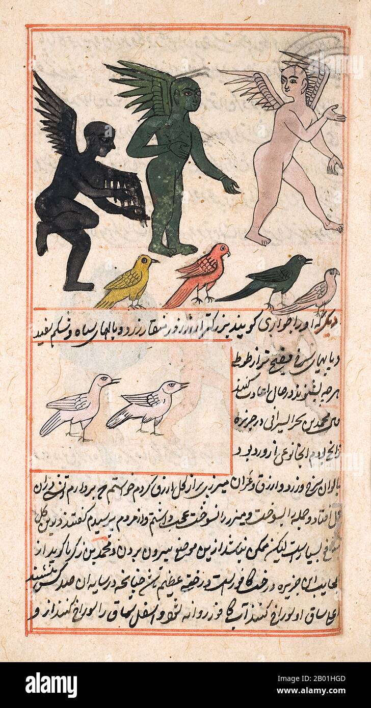 File:Zakariya ibn Muhammad Qazwini - A Bird Called Hadinat al-af'á (Viper's  Dry Nurse) - Walters W659120A - Full Page.jpg - Wikimedia Commons