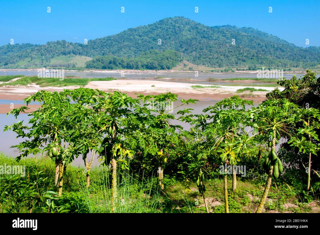 Thailand: A boat passes through the narrows behind a papaya grove at Ban Hat Bia on the Mekong River, Loei Province.  Loei (Thai: เลย) Province is located in Thailand's upper North-East. Neighboring provinces are (from east clockwise) Nong Khai, Udon Thani, Nongbua Lamphu, Khon Kaen, Phetchabun, Phitsanulok. In the north it borders Xaignabouli and Vientiane Provinces of Laos.  The province is covered with low mountains, while the capital Loei is located in a fertile basin. The Loei River, which flows through the province, is a tributary of the Mekong River. Stock Photo