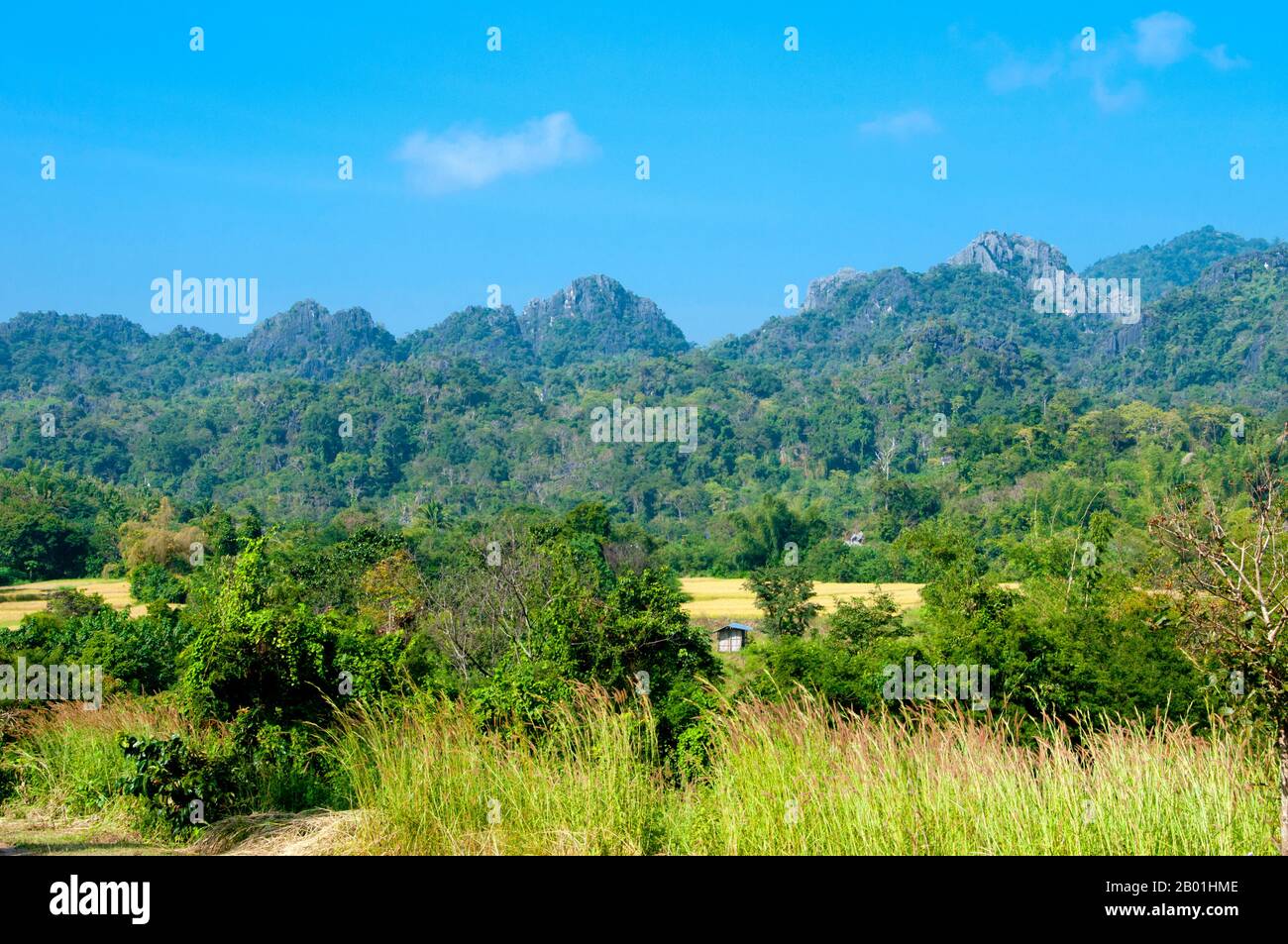 Thailand: View towards the Phu Luang National Park mountain range, Loei Province.  Loei Province is located in Thailand's upper North-East. Neighboring provinces are (from east clockwise) Nong Khai, Udon Thani, Nongbua Lamphu, Khon Kaen, Phetchabun, Phitsanulok. In the north it borders Xaignabouli and Vientiane Provinces of Laos.  The province is covered with low mountains, while the capital Loei is located in a fertile basin. The Loei River, which flows through the province, is a tributary of the Mekong which, together with the smaller Hueang River, forms the northern boundary of the province Stock Photo