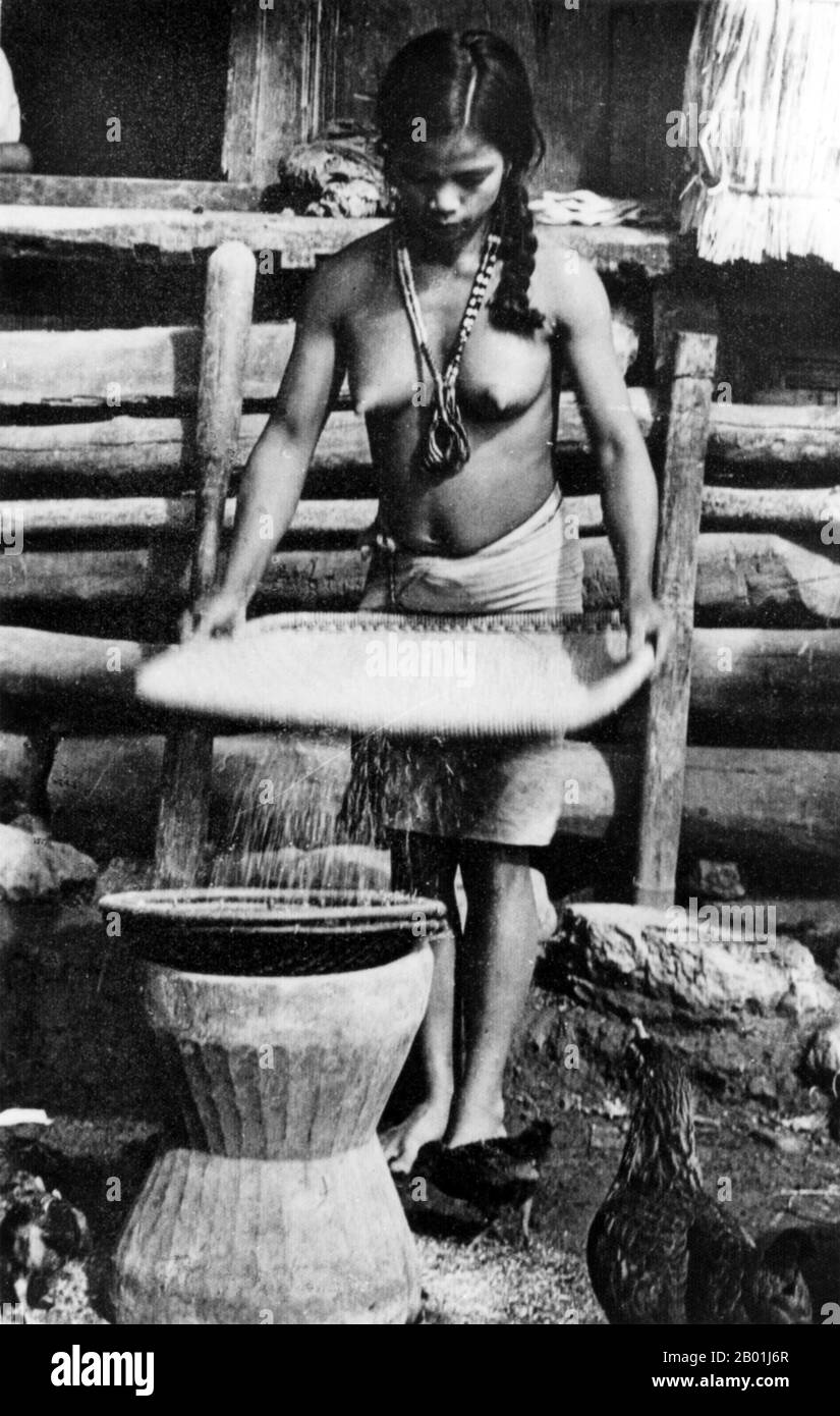 Philippines: Ifugao woman winnowing rice, Cordillera Administrative Region, Central Luzon. Photo by Eduardo Masferré, Bertil Lintner Collection, c. 1950.  Ifugao is a landlocked province of the Philippines in the Cordillera Administrative Region in Luzon. Covering a total land area of 262,820 hectares, the province of Ifugao is located in a mountainous region characterized by rugged terrain, river valleys, and massive forests. Its capital is Lagawe and borders Benguet to the west, Mountain Province to the north, Isabela to the east and Nueva Vizcaya to the south. Stock Photo