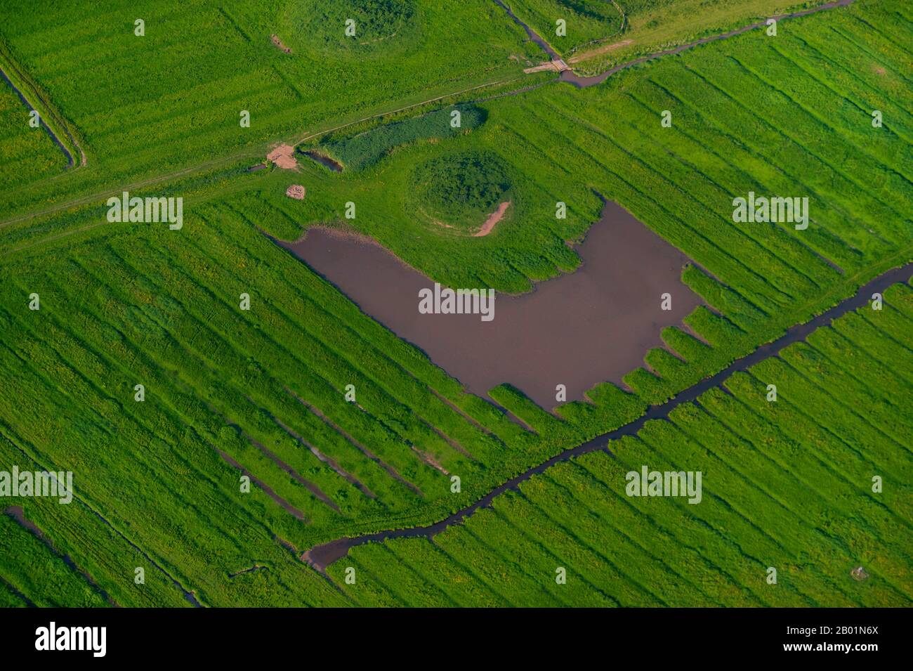 terp and drainage ditsches in marshland, aerial view, Germany, Schleswig-Holstein Stock Photo