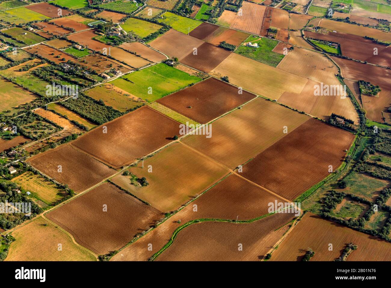 field landscape around Vilafranca de Bonany, 09.01.2020, aerial view, Spain, Balearic Islands, Majorca, Vilafranca de Bonany Stock Photo