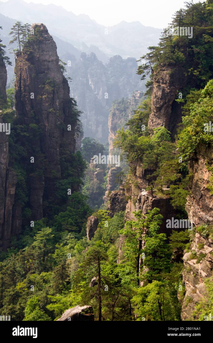 China: Quartzite sandstone pillars and peaks, Wulingyuan Scenic Area (Zhangjiajie), Hunan Province.  Wulingyuan Scenic Reserve is a scenic and historic interest area in Hunan Province. It is noted for its approximately 3,100 tall quartzite sandstone pillars, some of which are over 800 metres (2,600 ft) in height and are a type of karst formation. In 1992 it was designated a UNESCO World Heritage Site. Stock Photo