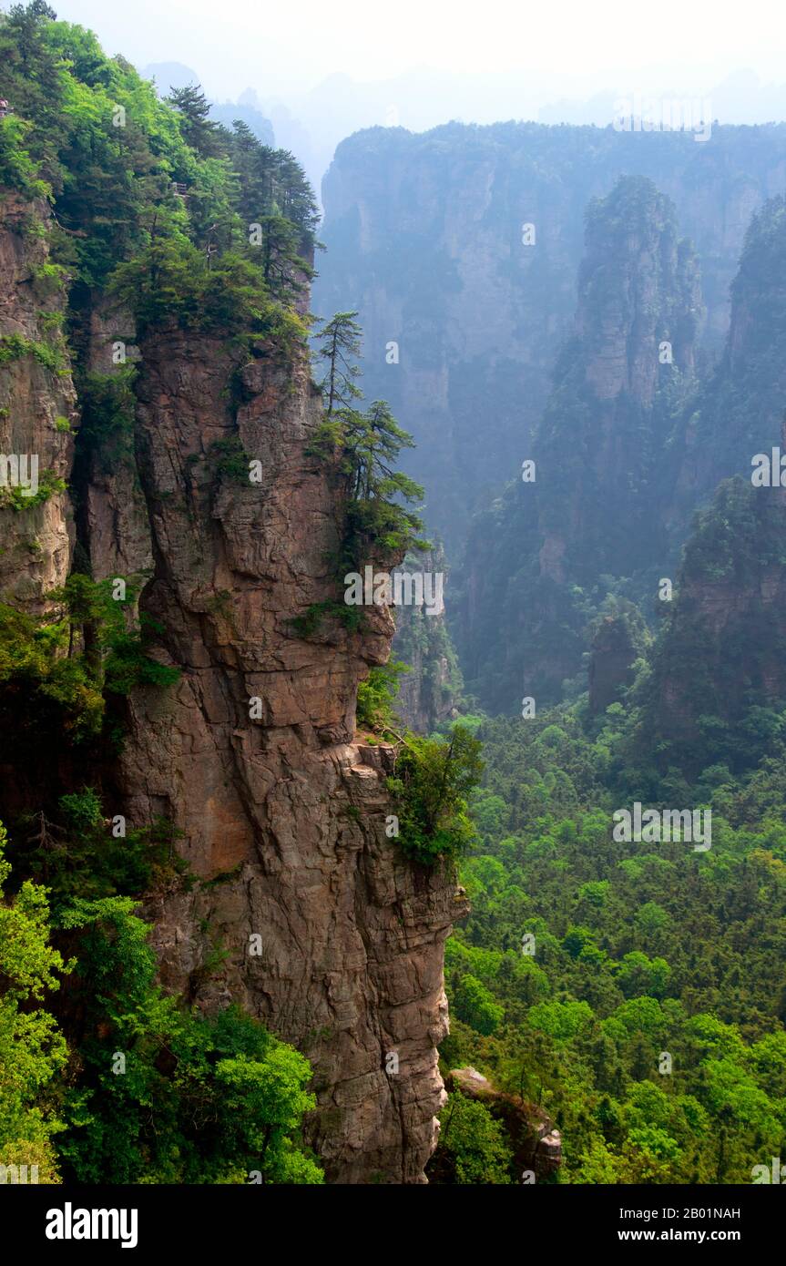 China: Quartzite sandstone pillars and peaks, Wulingyuan Scenic Area (Zhangjiajie), Hunan Province.  Wulingyuan Scenic Reserve is a scenic and historic interest area in Hunan Province. It is noted for its approximately 3,100 tall quartzite sandstone pillars, some of which are over 800 metres (2,600 ft) in height and are a type of karst formation. In 1992 it was designated a UNESCO World Heritage Site. Stock Photo