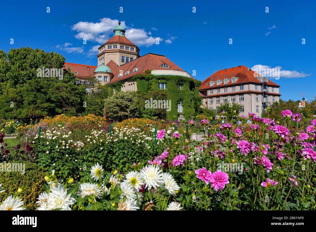 , Botanical garden in Munich, Germany, Bavaria, Muenchen Stock Photo Alamy