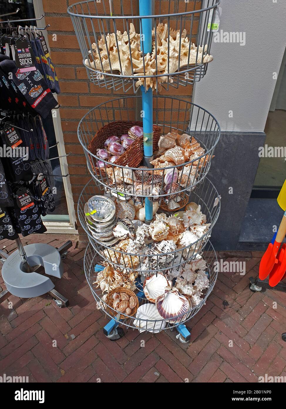 sale of tropical shells and snail shells at a souvenir shop at the North Sea, Netherlands, Noordwijk aan Zee Stock Photo
