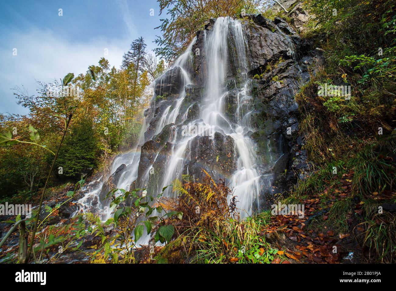 Radau waterfall in autumn, Germany, Lower Saxony, Harz National Park, Bad Harzburg Stock Photo