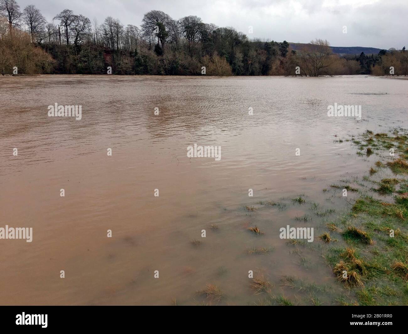 Flooded riverside meadow River Wye at The Warren Hay on Wye the river reached it's highest level of 5.05 metres recorded on the local river height gauge Stock Photo
