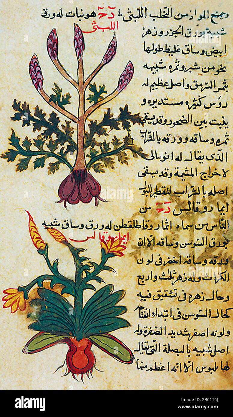 Middle East: A page from 'Fawaeyd el-Aashab' (The Benefits of Herbs) by Abu Gaafar al-Ghafiki, 1582.  Islamic medicine, Arabic medicine or Arabian medicine refers to medicine developed in the Islamic Golden Age, and written in Arabic, the lingua franca of Islamic civilisation. The emergence of Islamic medicine came about through the interactions of the indigenous Arab tradition with foreign influences.  Translation of earlier texts was a fundamental building block in the formation of Islamic medicine and the tradition that has been passed down. Stock Photo