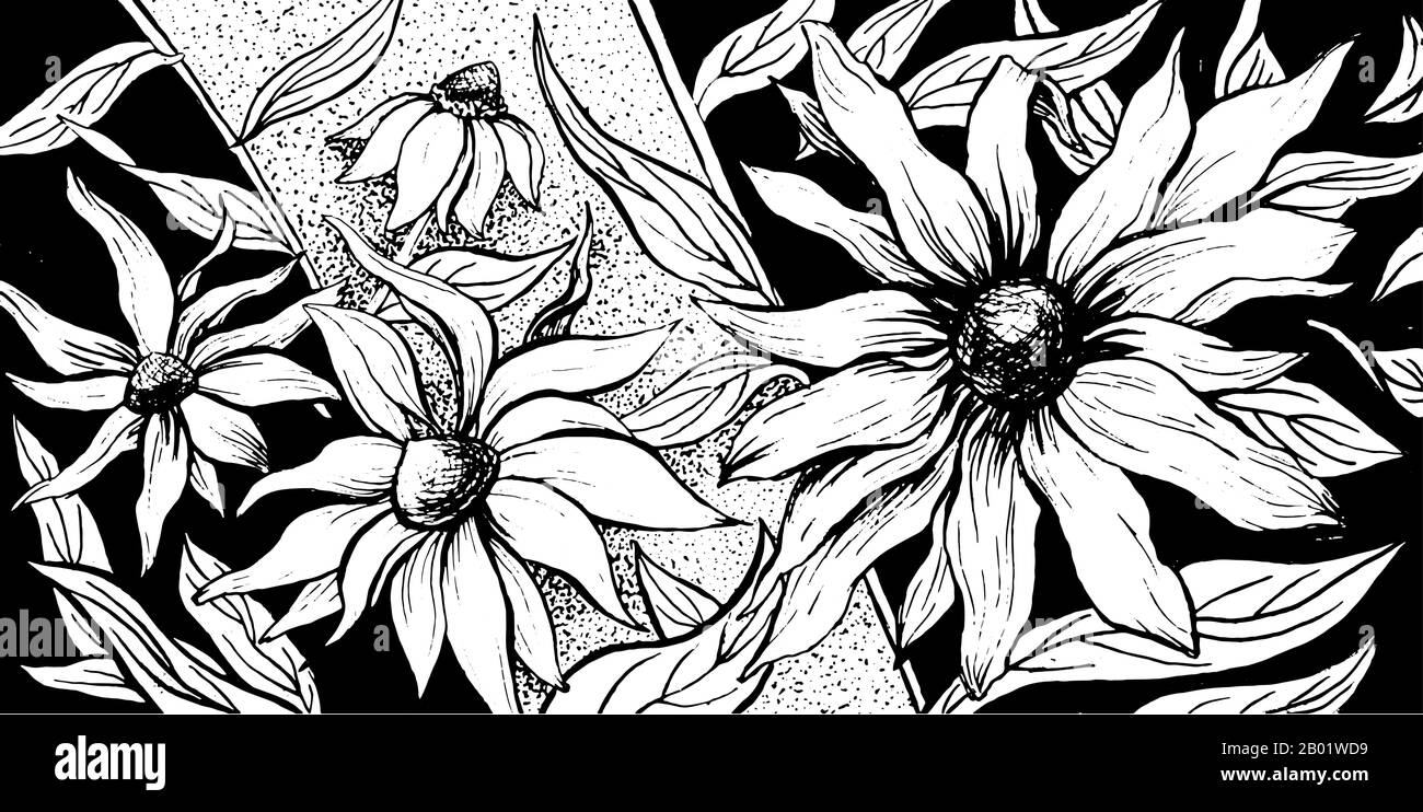 Flowers floral horizontal background, echinacea blossom ornate floral decoration vintage art design. Aster blossoms, flowers flourish buds bloom, imprint texture background Stock Vector