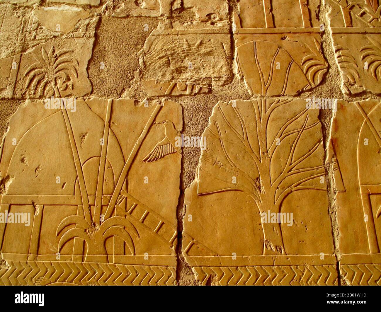 Egypt: Relief depicting the incense and myrrh trees obtained by Queen Hatshepsut's expedition to Punt, c. 1480 BCE.  Hatshepsut established the trade networks that had been disrupted during the Hyksos occupation of Egypt during the Second Intermediate Period, thereby building the wealth of the eighteenth dynasty.  She oversaw the preparations and funding for a mission to the Land of Punt. The expedition set out in her name with five ships, each measuring 21 m (70 feet) long and accommodating 210 men that included sailors and 30 rowers. Many trade goods were bought in Punt, notably myrrh. Stock Photo