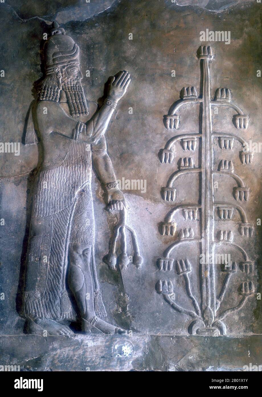 Iraq: Genie with a poppy flower. Bas-relief from the Palace of Sargon II (c. 770–705 BCE), Dur Sharrukin in Assyria (Khorsabad), c. 716-713 BCE.  Sargon II ruled as king of the Neo-Assyrian Empire from 722 BCE to his death in battle in 705 BCE. He probably came to power after overthrowing his brother Shalmaneser V and founded the Sargonid Dynasty. Taking his regnal name after the ancient conqueror Sargon of Akkad, he greatly expanded Assyrian territory as a mighty warrior-king and military strategist, personally leading his troops in battle and defeating all his major enemies during his reign. Stock Photo