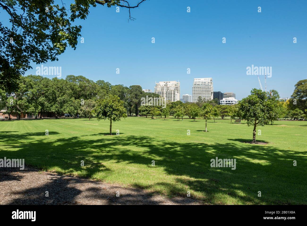 Fawkner Park in summer, Melbourne, Australia Stock Photo Alamy
