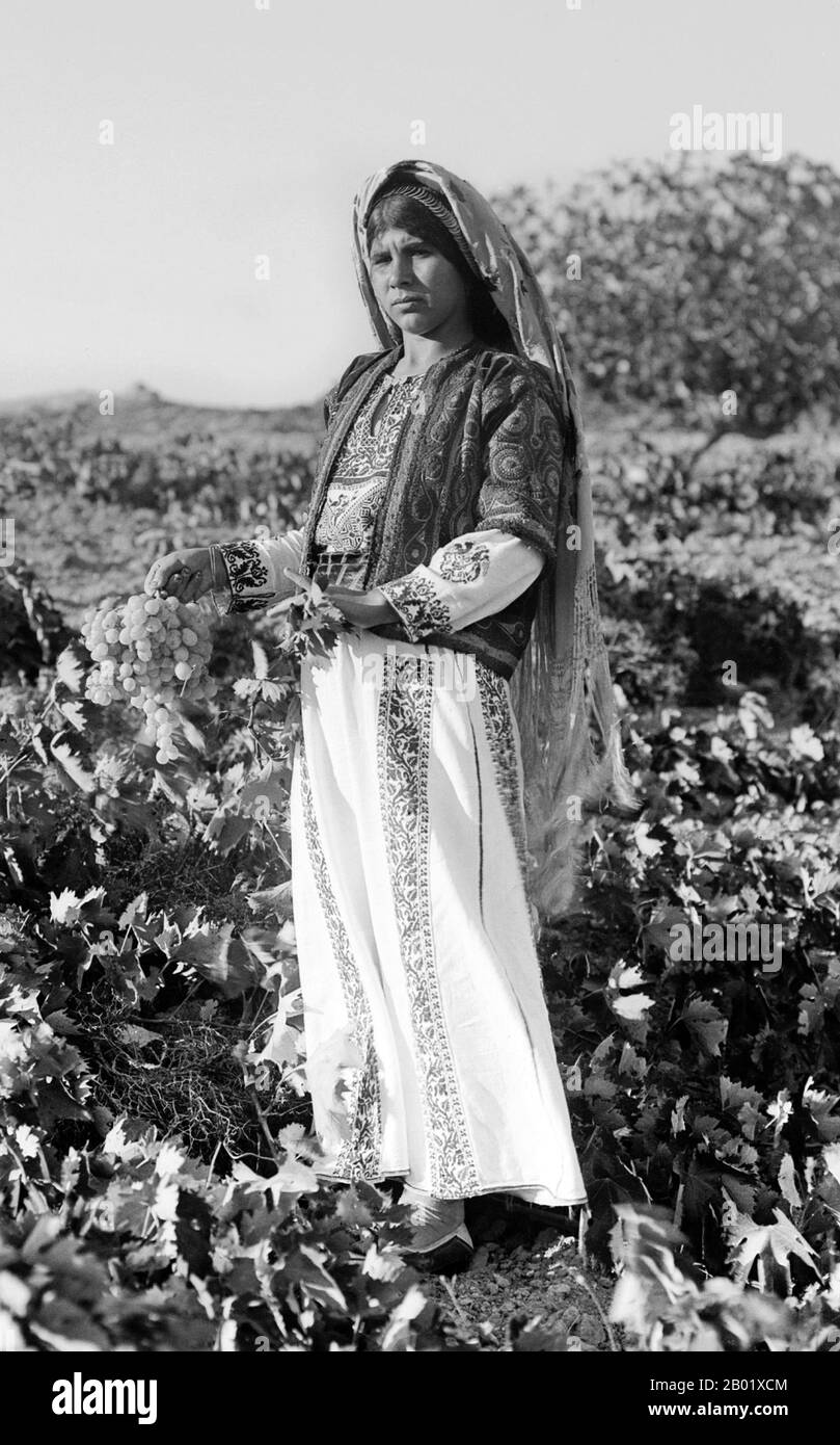 Palestine: A Palestinian woman holding a bunch of grapes, Ein Yabrud, 1937.  Palestine is a name given to the geographic region between the Mediterranean Sea and the Jordan River. The region is also known as the Land of Israel, the Holy Land and the Southern Levant.  In 1832 Palestine was conquered by Muhammad Ali's Egypt, but in 1840 Britain intervened and returned control of the Levant to the Ottomans in return for further capitulations. The end of the 19th century saw the beginning of Zionist immigration and the Revival of the Hebrew language. Stock Photo