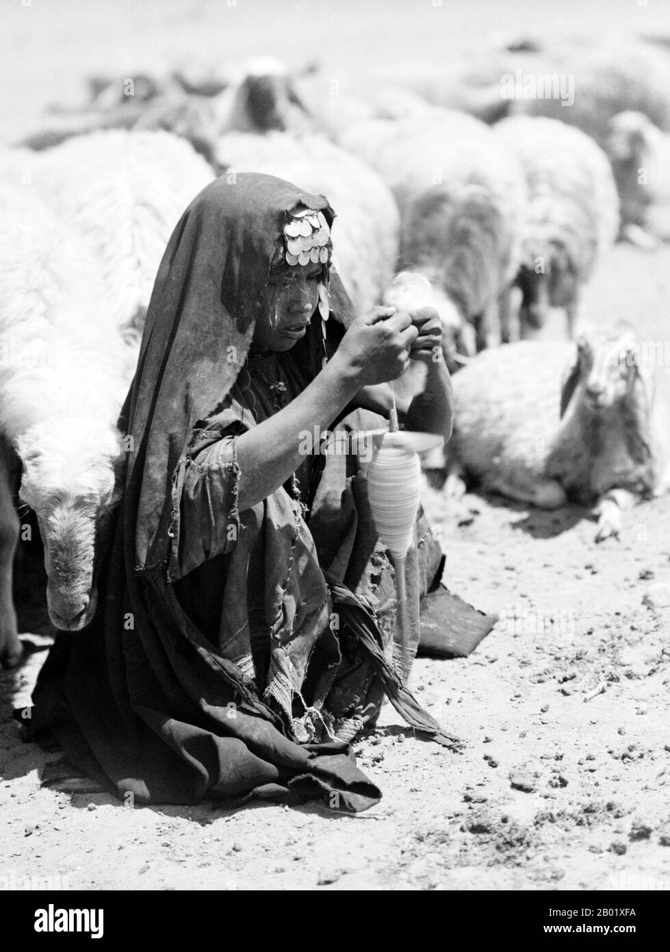 Palestine: A young bedouin shepherdess spinning near Beersheba (Be'er Sheva, Bi'r as-Sab), 1932.  Palestine is a name given to the geographic region between the Mediterranean Sea and the Jordan River. The region is also known as the Land of Israel, the Holy Land and the Southern Levant.  In 1832 Palestine was conquered by Muhammad Ali's Egypt, but in 1840 Britain intervened and returned control of the Levant to the Ottomans in return for further capitulations. The end of the 19th century saw the beginning of Zionist immigration and the Revival of the Hebrew language. Stock Photo