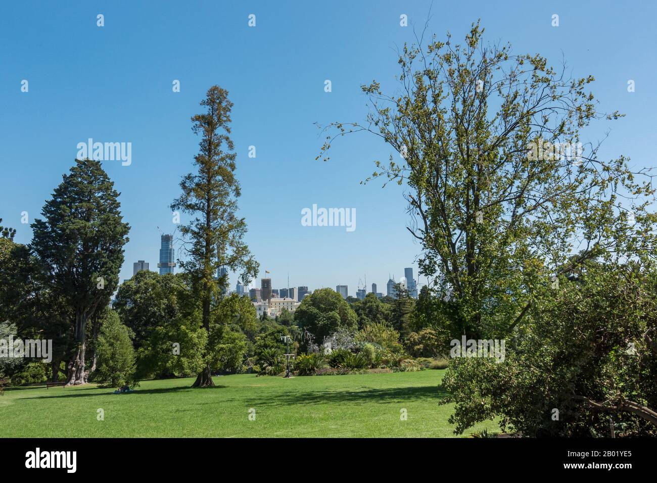 Royal Botanic Gardens in summer, Melbourne, Australia Stock Photo Alamy