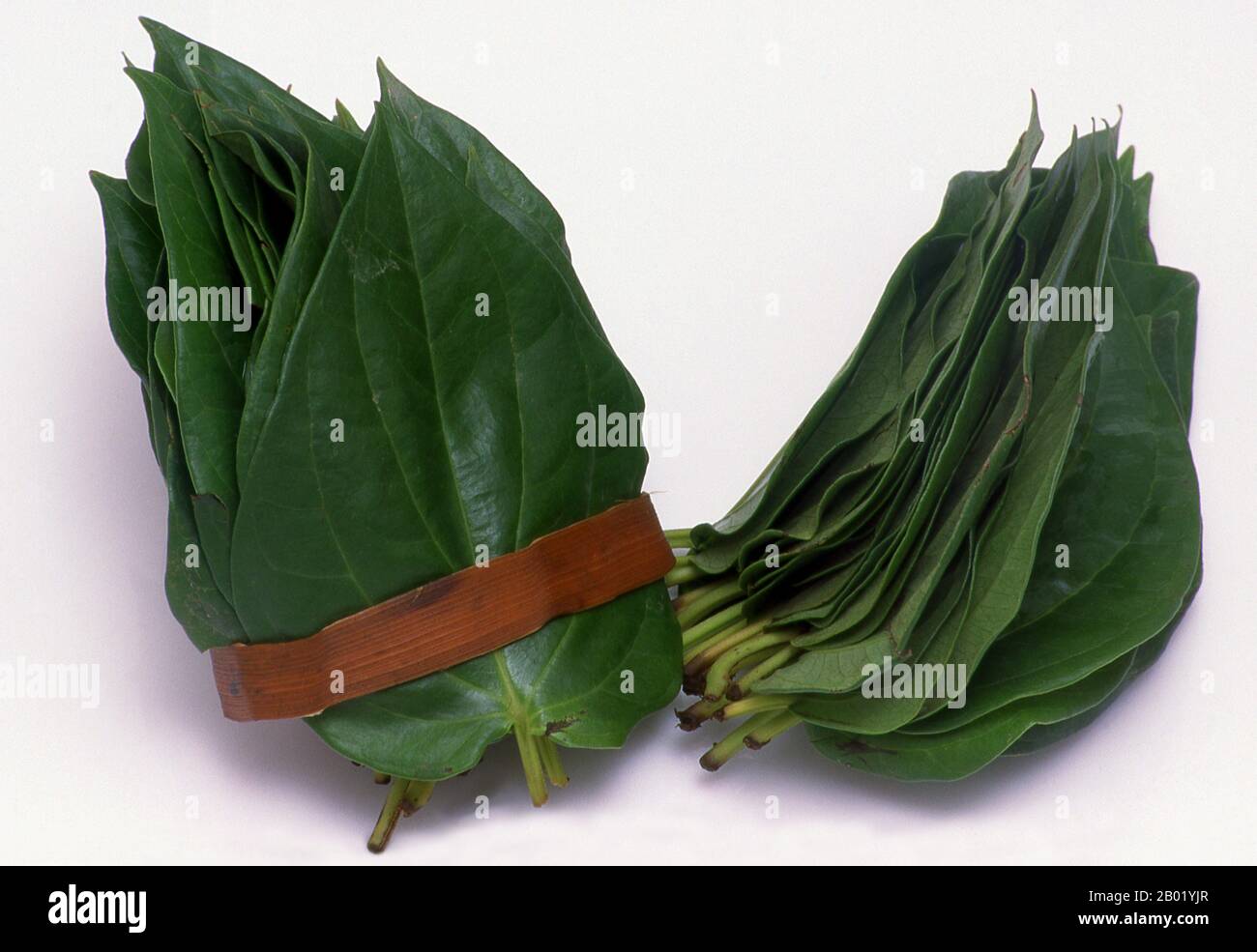 Chewing tobacco leaves hi-res stock photography and images