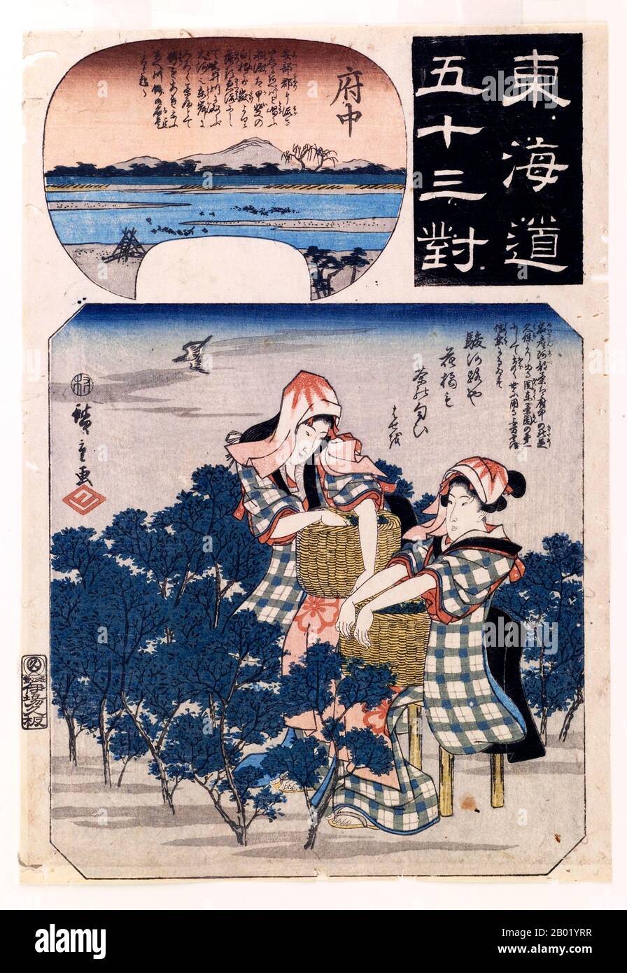 Dressed in elaborate cotton kimonos, two girls appear  over-dressed for the task at hand. Beneath their tie-dyed head coverings, they each sport hairstyles of the highest urban fashion.  These are elegant urban women costumed to play the roles of tea plantation workers in the famed Fuchu region. Hiroshige is presenting his urban patrons with a fantasy that appeals both to their sense of fashion and to their love of fine tea. Stock Photo