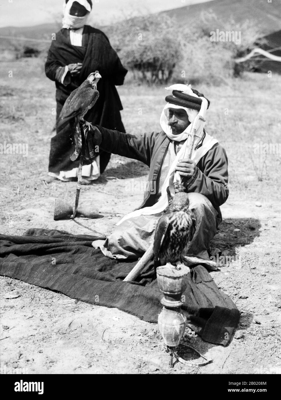 Bedouin (from the Arabic badawī بَدَوِي, pl. badw بَدْو or badawiyyūn بَدَوِيُّون) are a part of a predominantly desert-dwelling Arabian ethnic group traditionally divided into tribes, or clans, known in Arabic as ʿašāʾir (عَشَائِر).The term 'Bedouin' derives from a plural form of the Arabic word badawī, as it is pronounced in colloquial dialects. The Arabic term badawī (بدوي) derives from the word bādiyah (بَادِية), which means semiarid desert (as opposed to ṣaḥarāʾ صَحَرَاء, which means desert).  Starting in the late nineteenth century, many Bedouin under British rule began to transit to a s Stock Photo