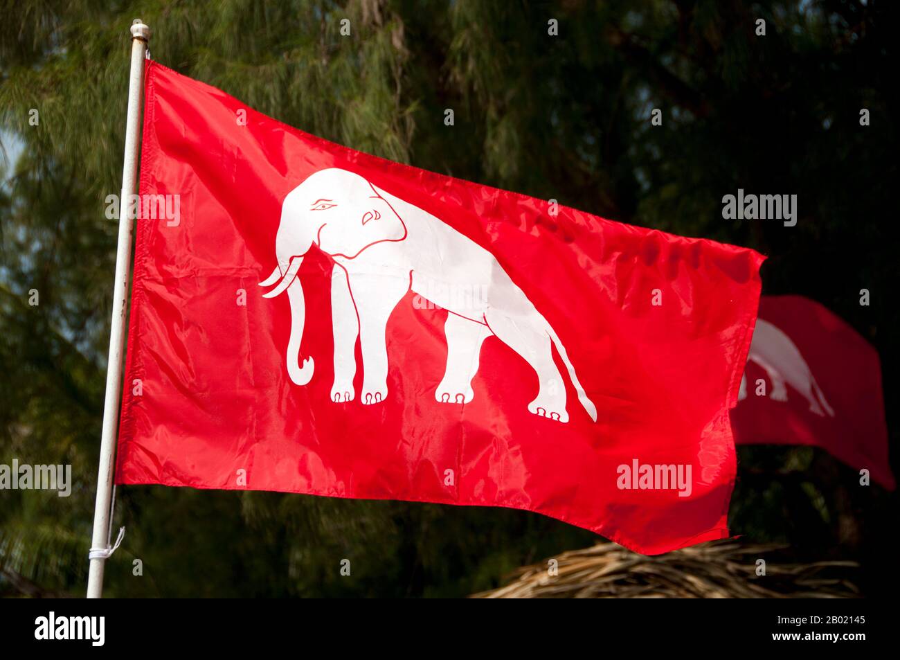 In Thailand, white elephants (chang phueak) are sacred and a symbol of royal power; all those