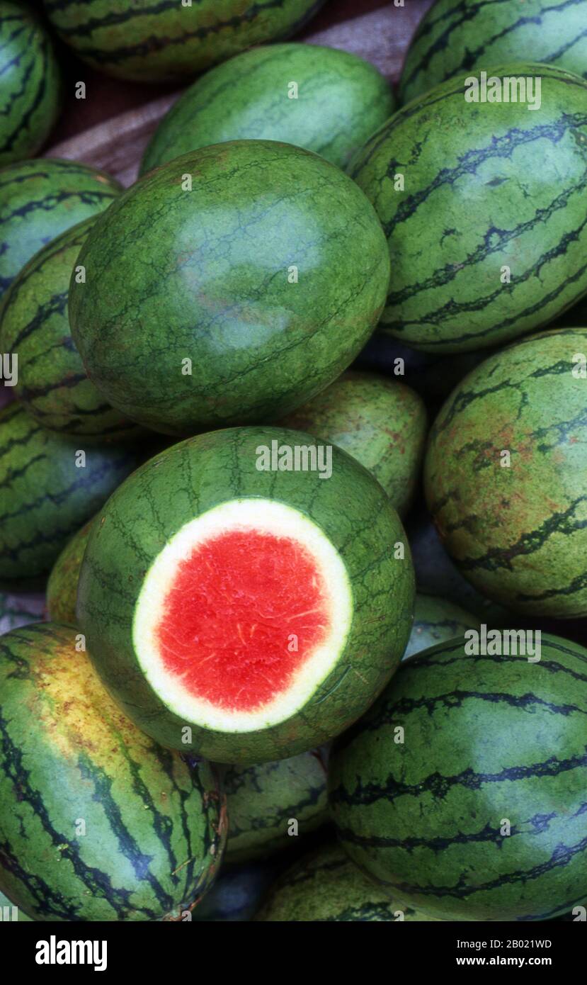 Tomb of pharaoh tutankhamun hires stock photography and images Alamy