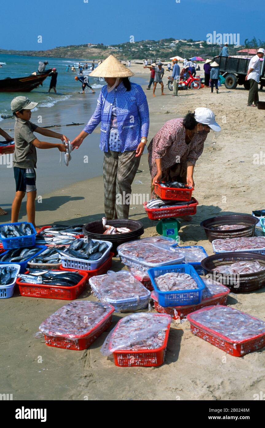 Mui Ne is famous for its production of nuoc mam (Vietnamese fish sauce). Large jars full of the sauce can be seen along the coast around Mui Ne. The sauce is left to ferment in the sun for a number of months. Stock Photo