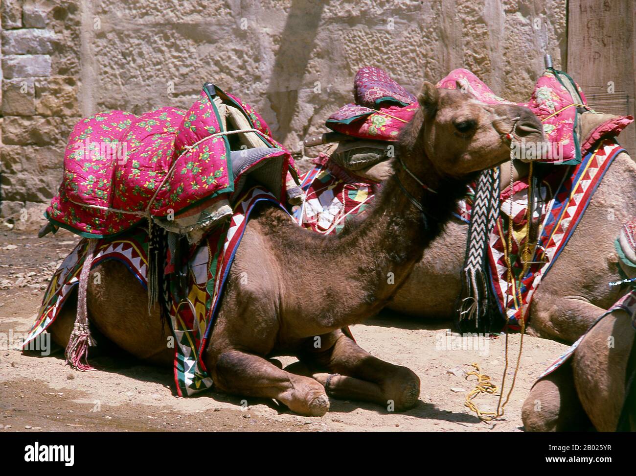 Surya hi-res stock photography and images - Alamy