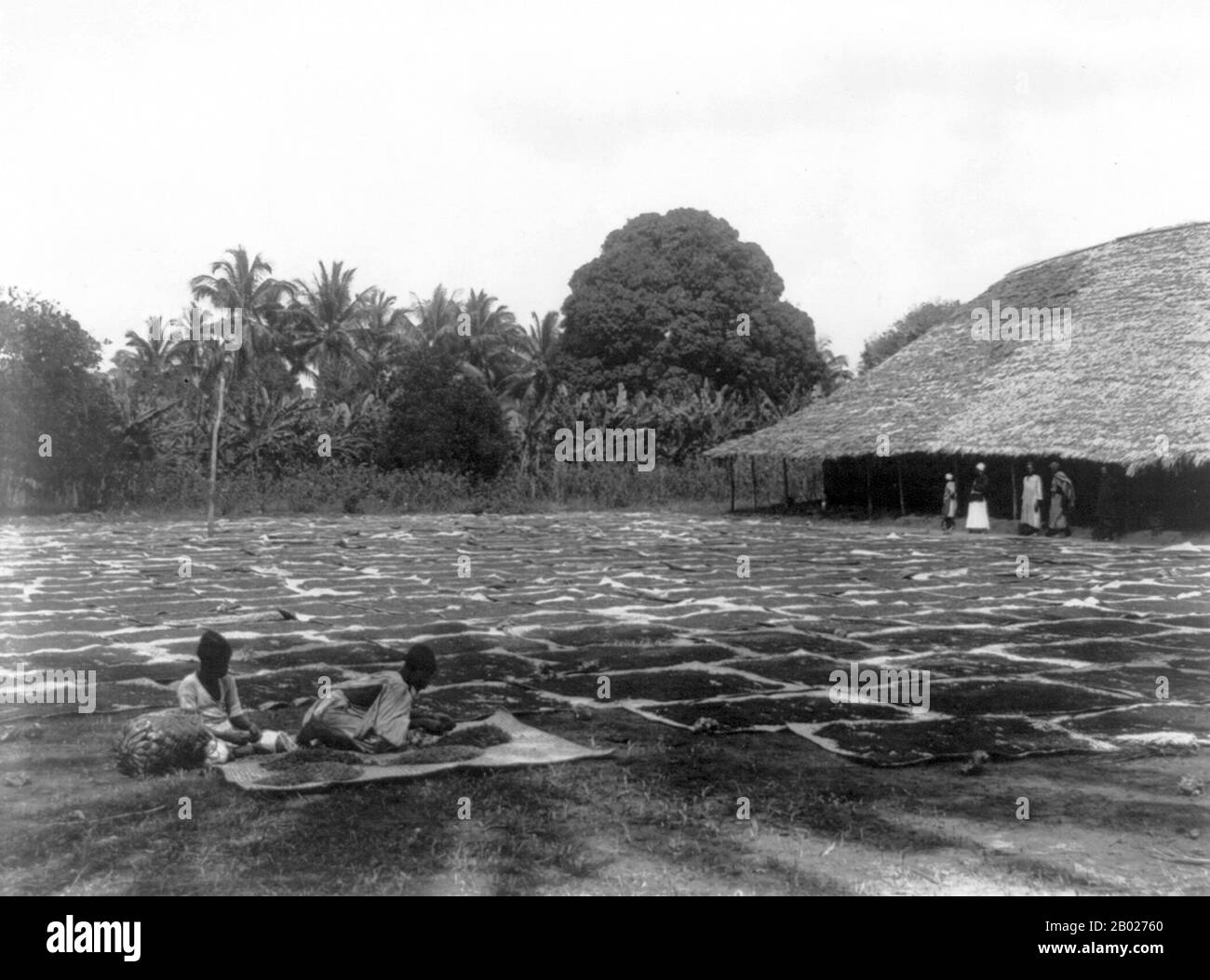 Zanzibar (from Arabic: زنجبار Zanjibār, from Persian: زنگبار Zangibār'Coast of Blacks'; zangi [black-skinned] + bār [coast]) is a semi-autonomous part of Tanzania in East Africa. It is composed of the Zanzibar Archipelago in the Indian Ocean, 25–50 kilometres (16–31 mi) off the coast of the mainland, and consists of numerous small islands and two large ones: Unguja (the main island, referred to informally as Zanzibar), and Pemba.  The capital of Zanzibar, located on the island of Unguja, is Zanzibar City. Its historic centre, known as Stone Town, is a World Heritage Site and is claimed to be Stock Photo