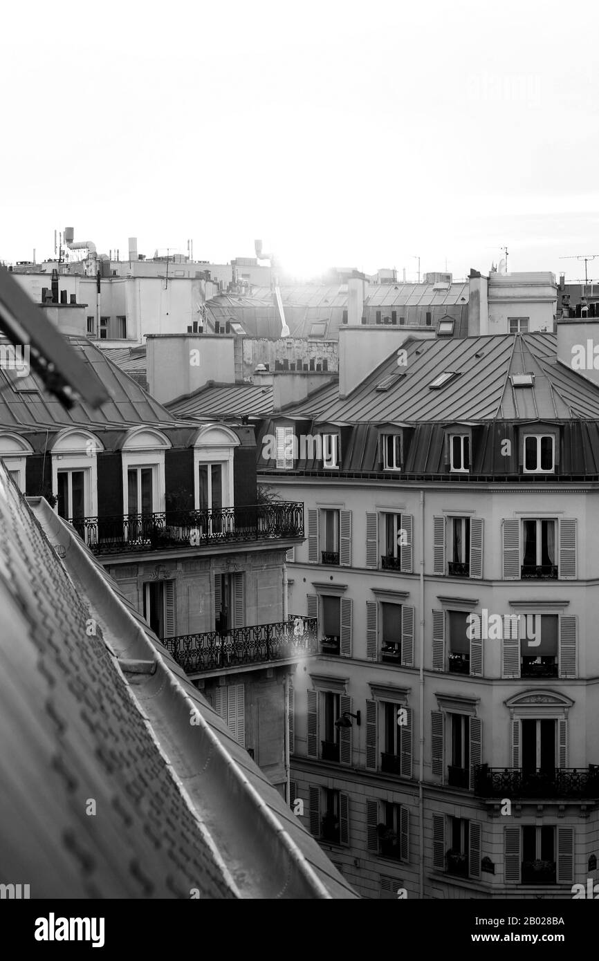 Sunset in Paris. Iconic Parisian Buildings Rooftop Black and White View in Rays of the Sun. Parisian Architecture. Stock Photo