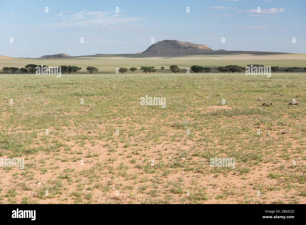 landscape in Namibia Stock Photo