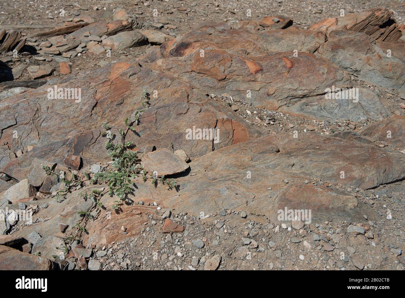 rocks and stones in Namibia Stock Photo