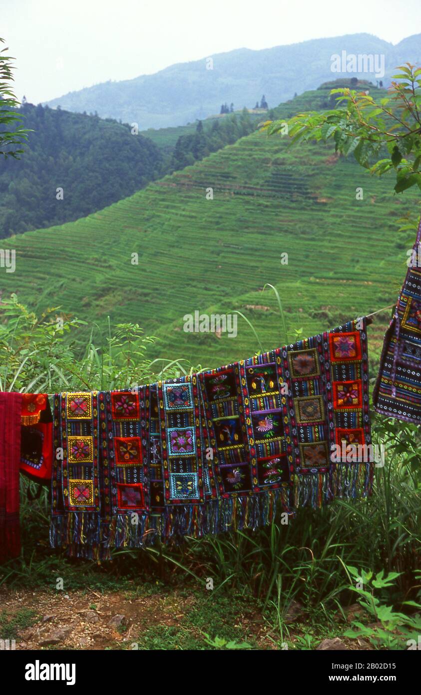 The Zhuang people (Chinese: 壮族; pinyin: Zhuàngzú; Zhuang: Bouxcuengh) are an ethnic group who mostly live in the Guangxi Zhuang Autonomous Region in southern China. Some also live in the Yunnan, Guangdong, Guizhou and Hunan provinces. They form one of the 55 minority ethnic groups officially recognized by the People's Republic of China. With the Buyi, Tay–Nùng, and other northern Tai speakers, they are sometimes known as the Rau or Rao. Their population, estimated at 18 million people, puts them second only to the Han Chinese and makes the Zhuang the largest minority in China.  Longji (Dragon' Stock Photo