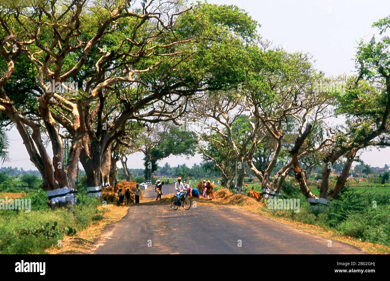 Tamil Nadu has historically been an agricultural state and is a leading