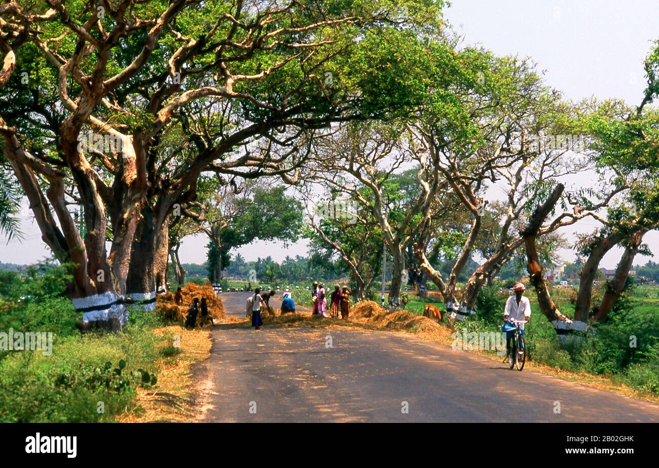 Tamil nadu farmers hires stock photography and images Alamy
